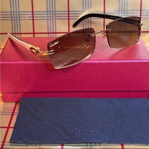 Cartier Buffalo Horn Rimless Unisex Sunglasses